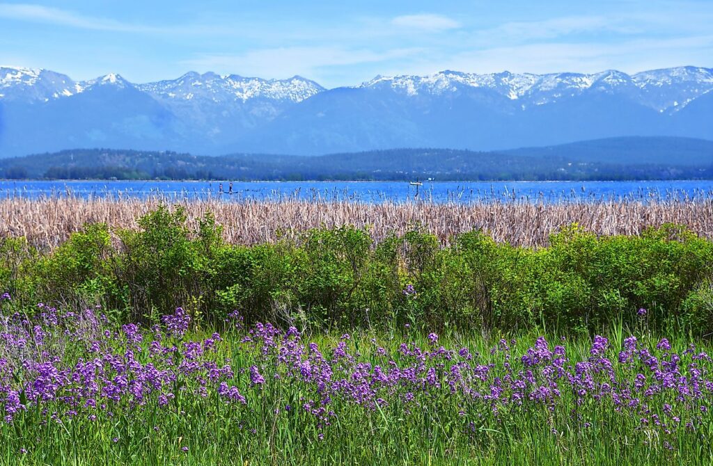 7 Most Scenic Small Towns In Montana For Nature Lovers